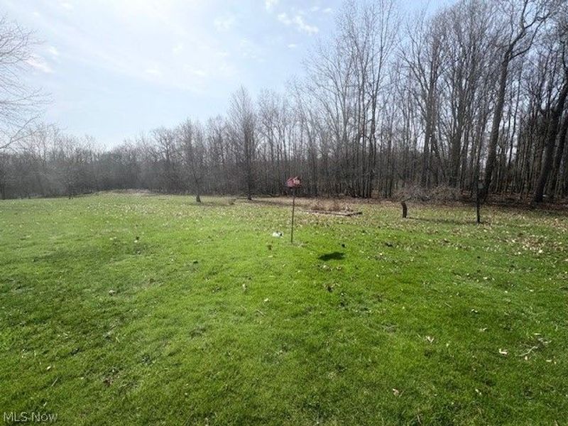 38019 Longs Crossing Road, Leetonia, OH 44431 Photo 35