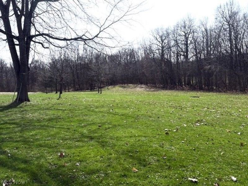 38019 Longs Crossing Road, Leetonia, OH 44431 Photo 36