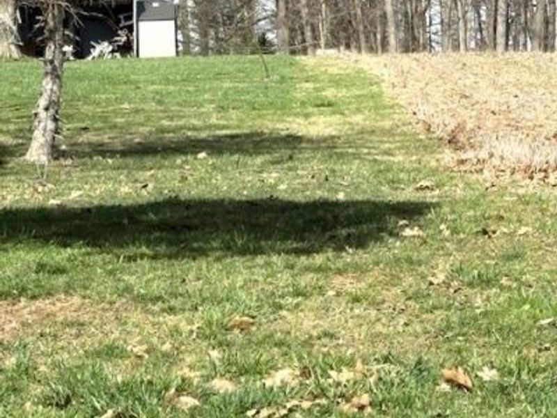 38019 Longs Crossing Road, Leetonia, OH 44431 Photo 37