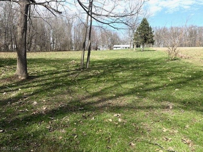 38019 Longs Crossing Road, Leetonia, OH 44431 Photo 38