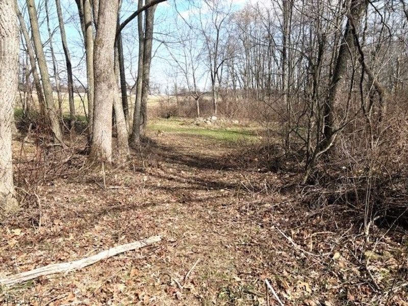 38019 Longs Crossing Road, Leetonia, OH 44431 Photo 39