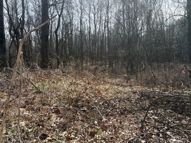 38019 Longs Crossing Road, Leetonia, OH 44431 Photo 40