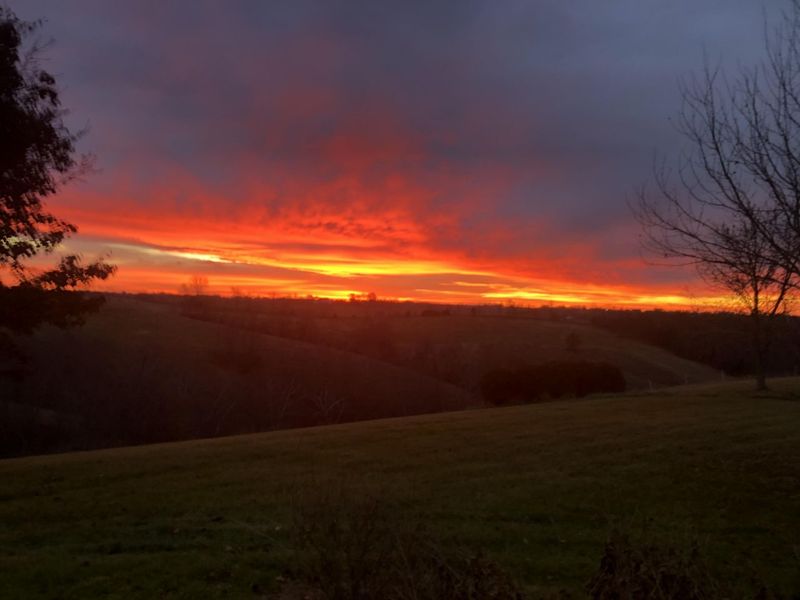 3910 Taft HWY, Dry Ridge, KY 41035 Photo 39