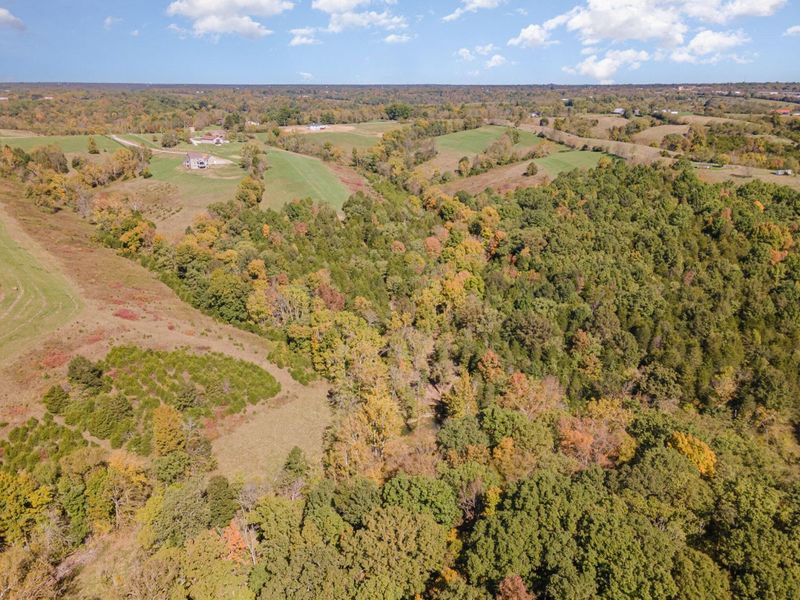 3910 Taft HWY, Dry Ridge, KY 41035 Photo 44