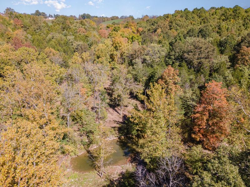 3910 Taft HWY, Dry Ridge, KY 41035 Photo 45