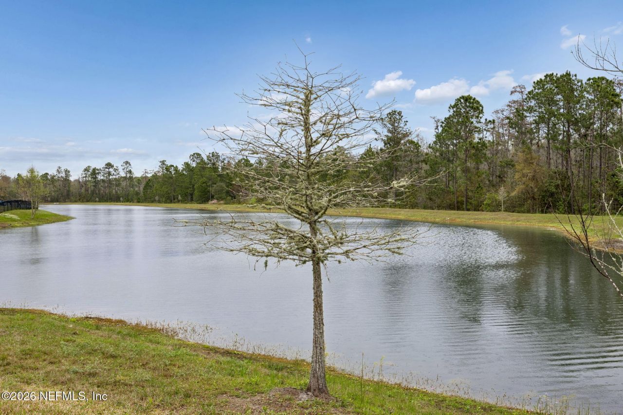 692 Sycamore Way, Orange Park, FL 32073 Photo