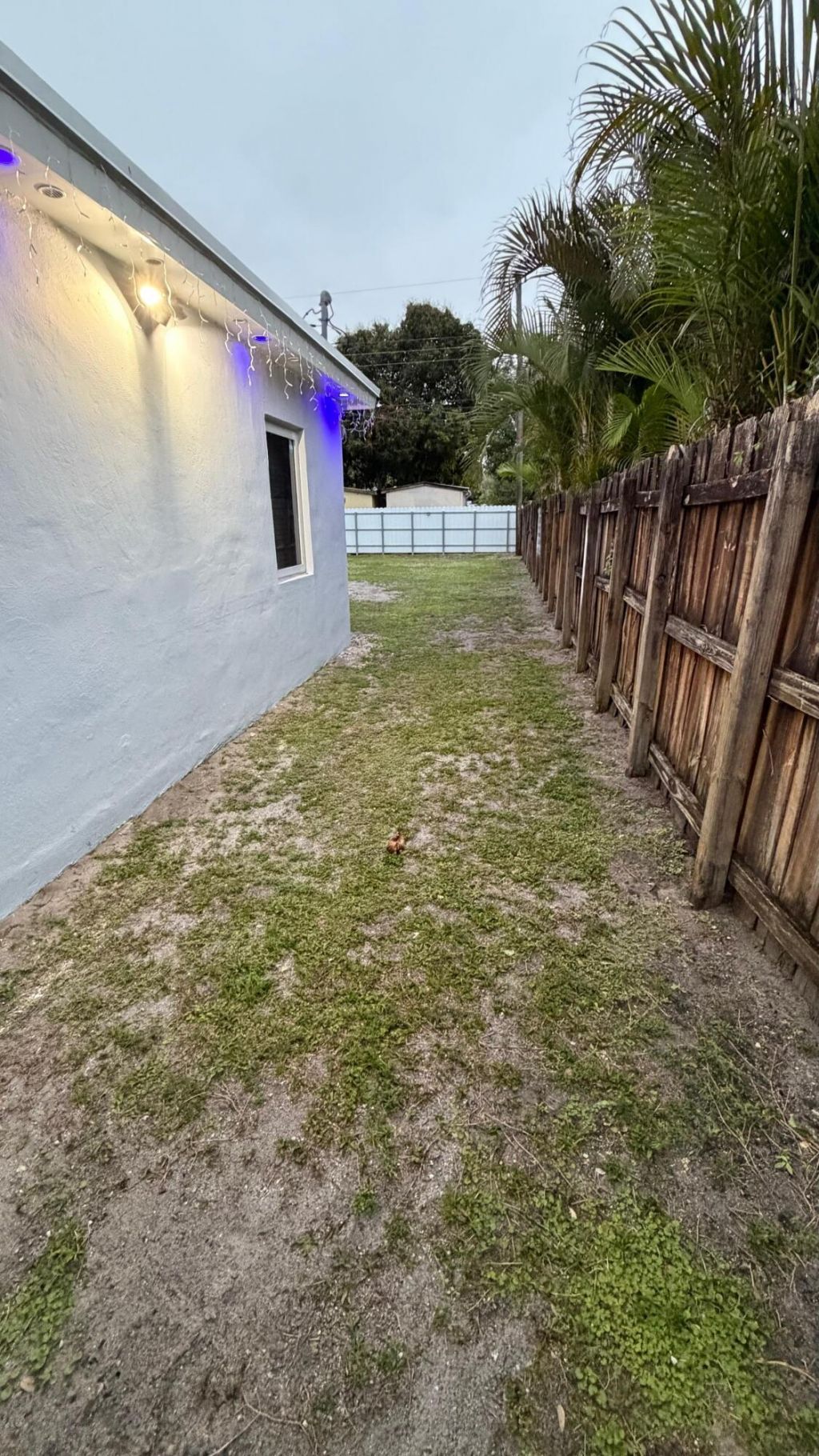 6305 Garfield Street, Hollywood, FL 33024 Photo