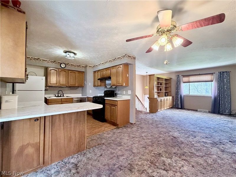 4191 Custer Orangeville Road NE, Burghill, OH 44404 Photo 7