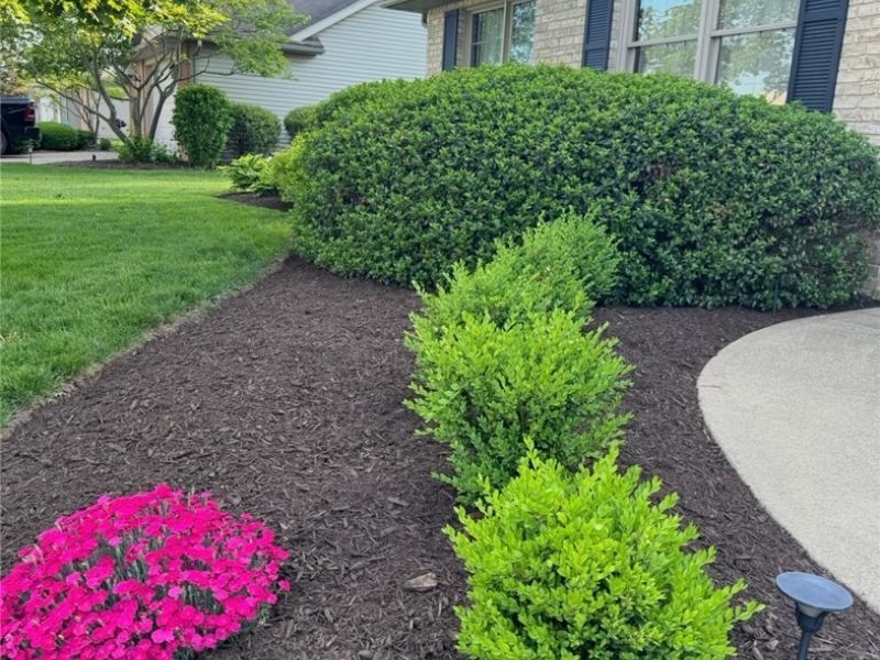 705 Dale Avenue NW, Strasburg, OH 44680 Photo 3