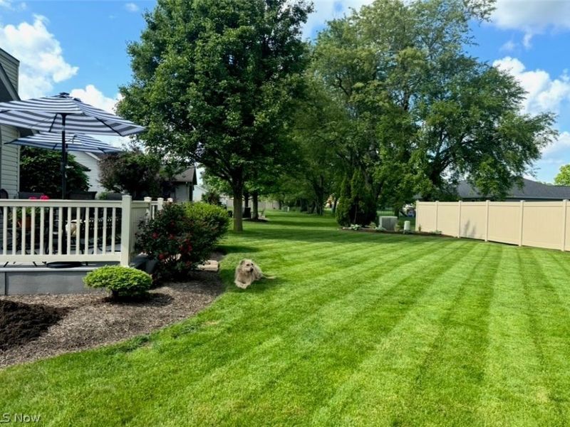 705 Dale Avenue NW, Strasburg, OH 44680 Photo 40