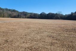 258 Truth Way photo 4