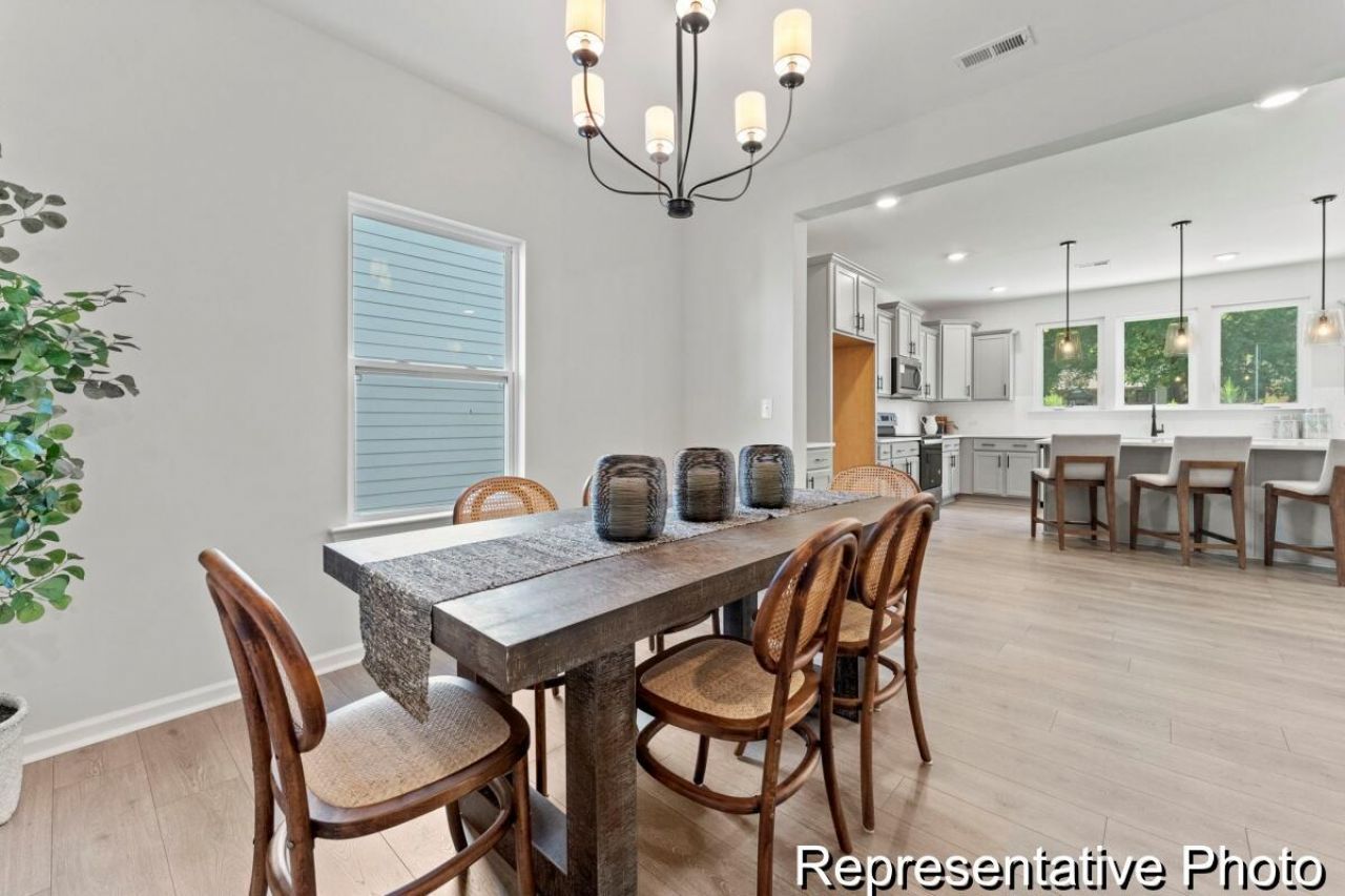 1039 Hooded Warbler Way Photo 6