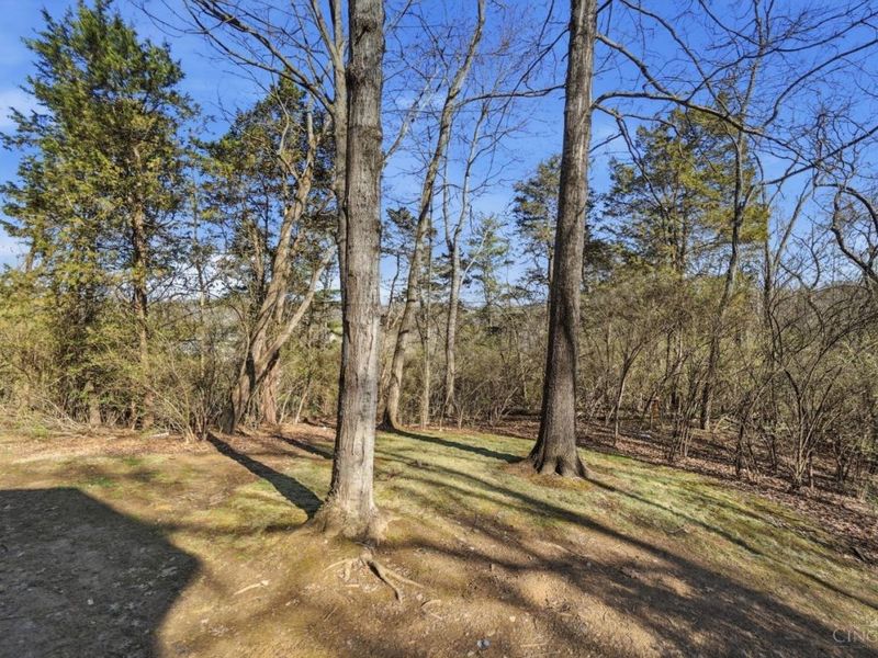 6637 Wyndwatch Drive, Cincinnati, OH 45230 Photo 57