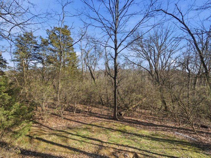 6637 Wyndwatch Drive, Cincinnati, OH 45230 Photo 58