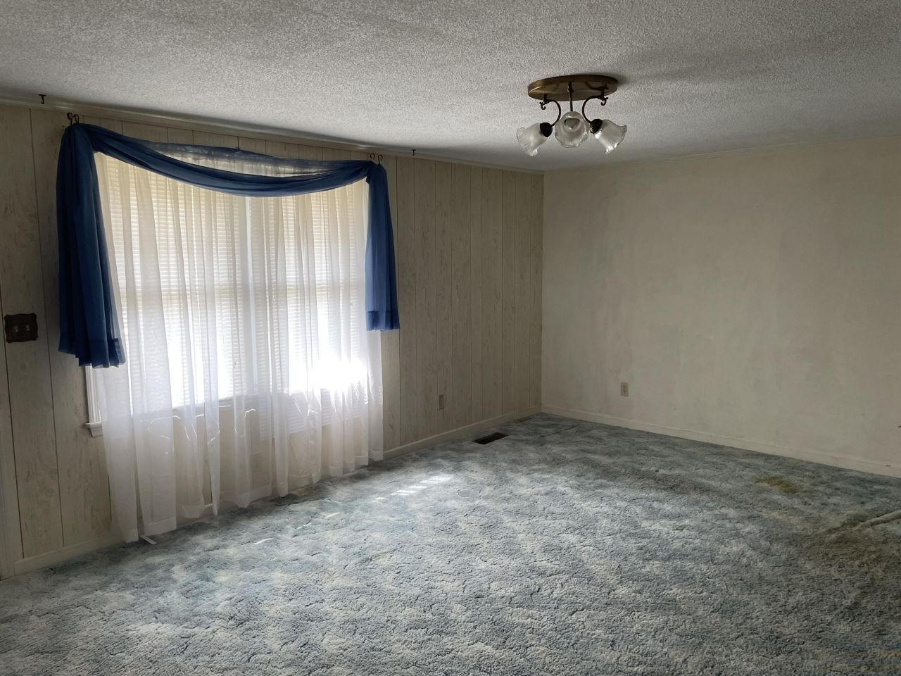 321 Dawson Street Photo 11