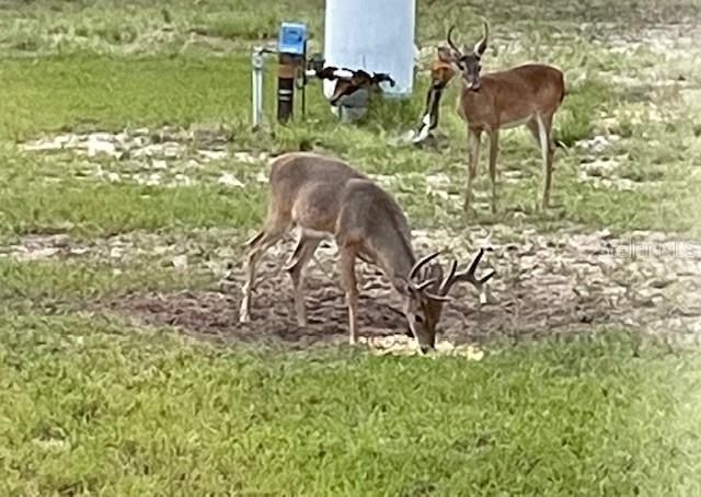 14020 SE 106th Street, Ocklawaha, FL 32179 Photo