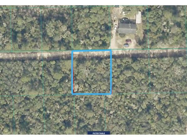 Lot 19 NE 233RD LANE , FORT MC COY, FL 32134