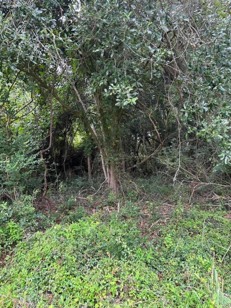 1849 Hazzard Lane Photo 2