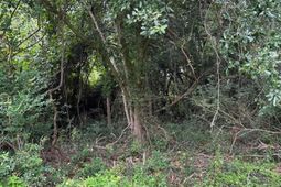 1849 Hazzard Lane photo 4