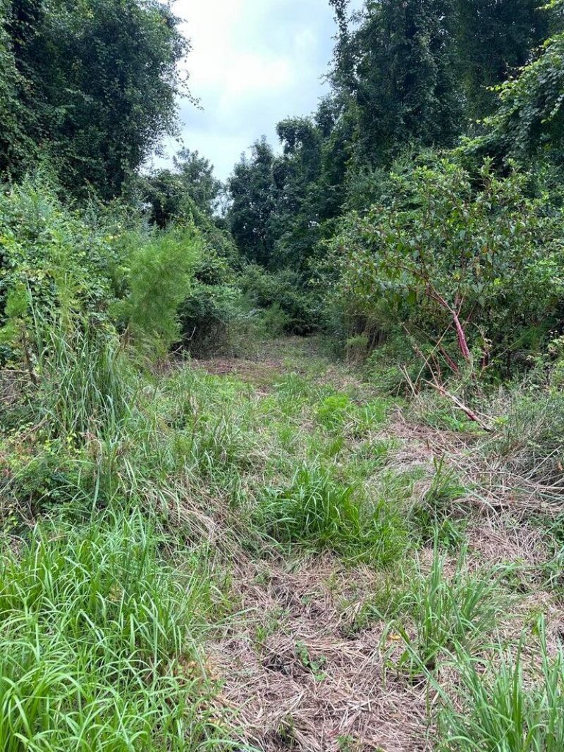 1849 Hazzard Lane Photo 4