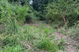 1849 Hazzard Lane photo 4