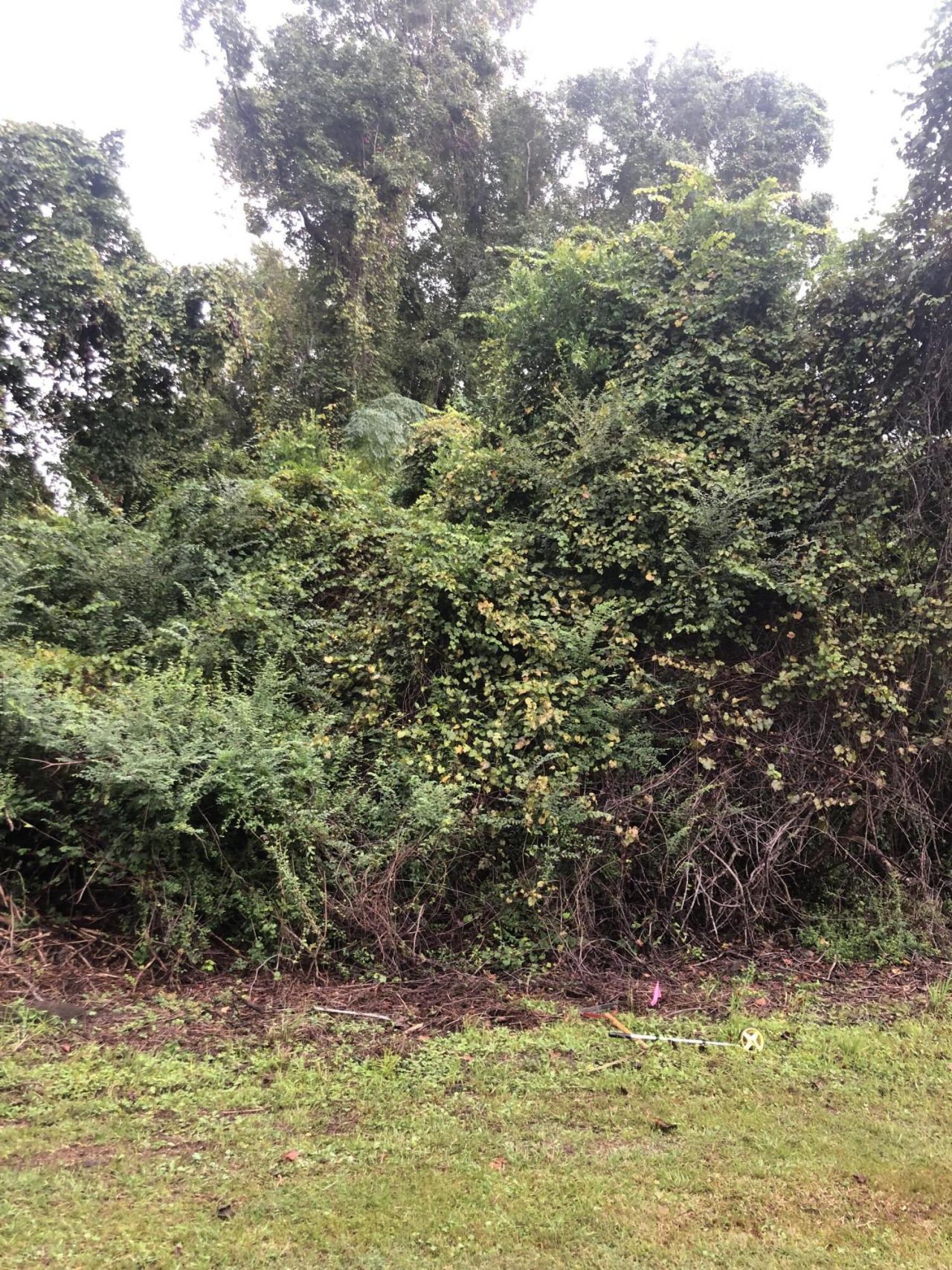 1849 Hazzard Lane Photo 5