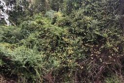 1849 Hazzard Lane photo 4