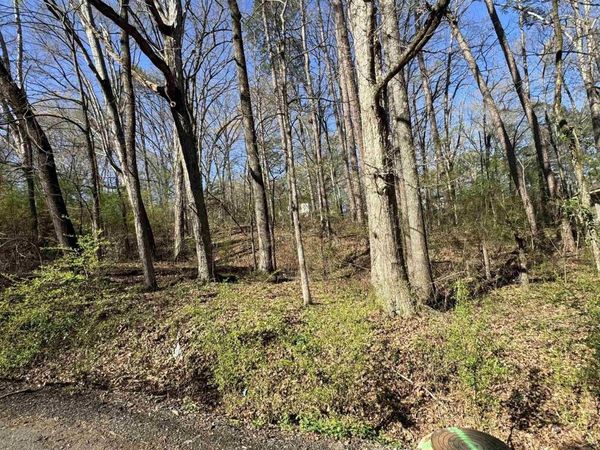 Lots 3 and 4 Cobb St , Little Rock, AR 72204