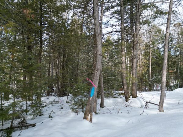 10 Falcon Ridge , Lincoln, ME 04457