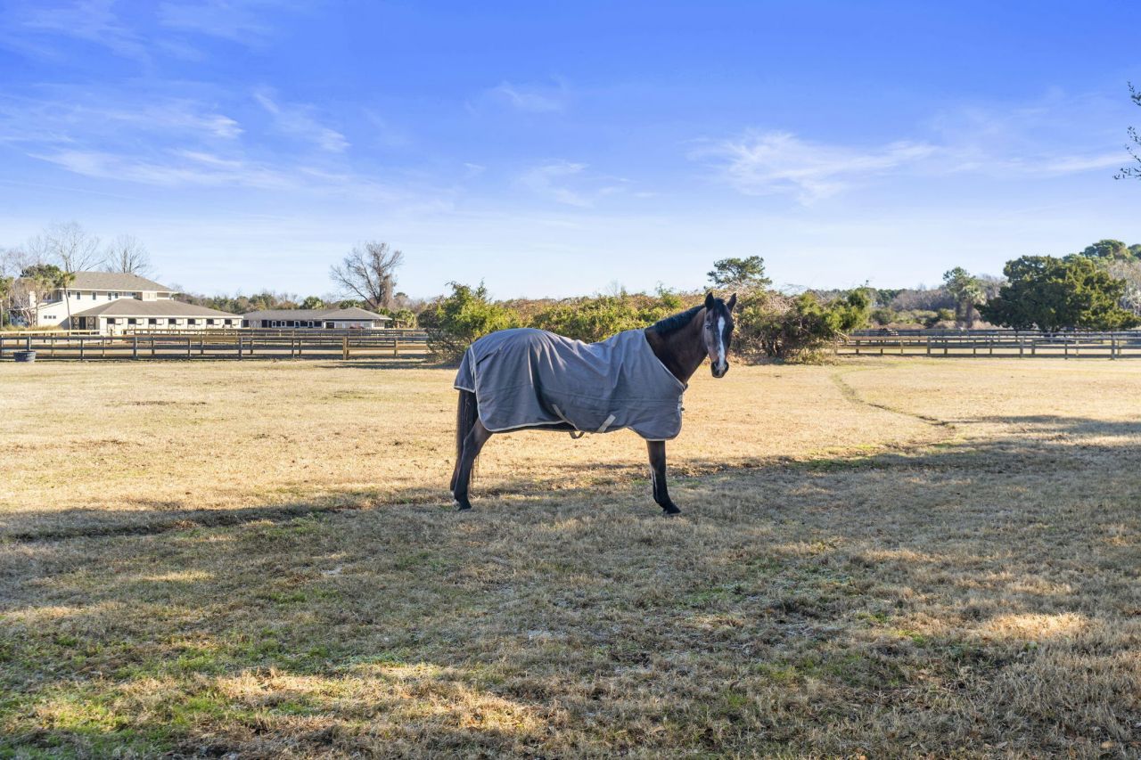 2111 Landfall Way Photo 51