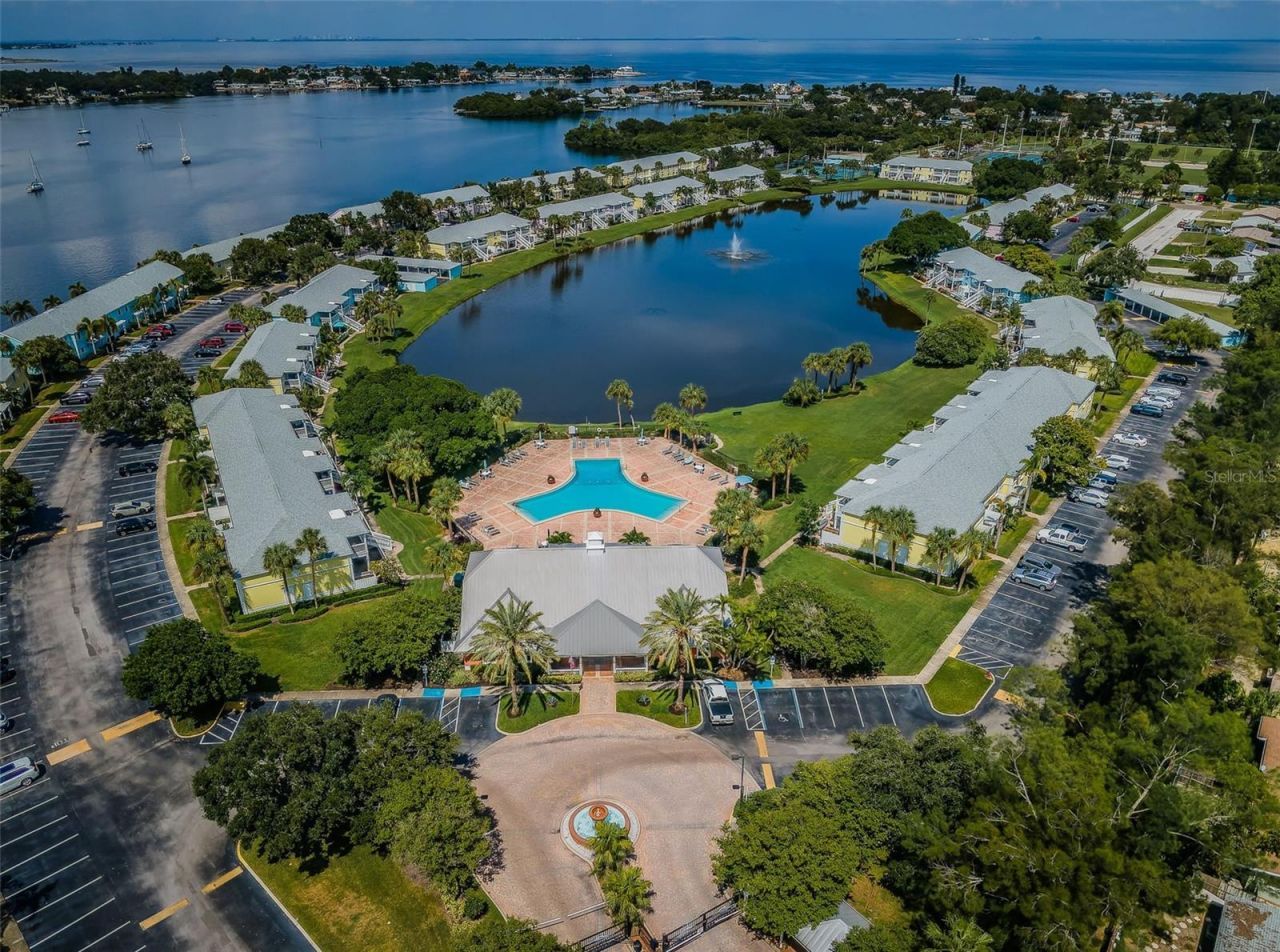 5052 Starfish Drive Se, Unit D, Saint Petersburg, FL 33705 Photo