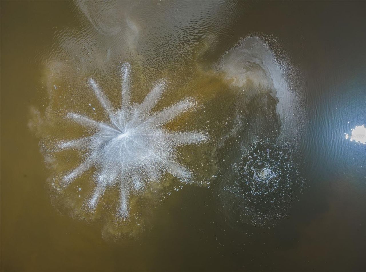 5052 Starfish Drive Se, Unit D, Saint Petersburg, FL 33705 Photo