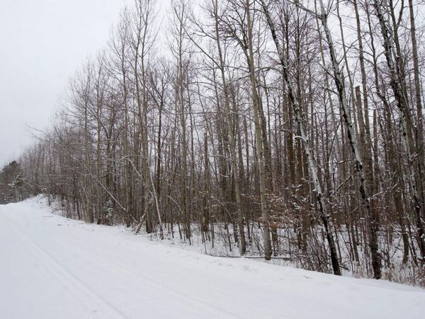 XXXX Sheridan Woods Lane NE, Outing, MN 56662