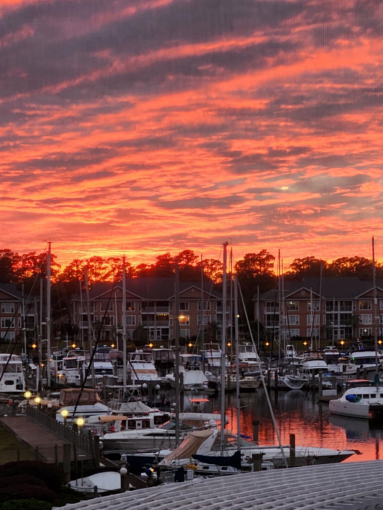 4220 Coquina Harbour Dr. Photo 70