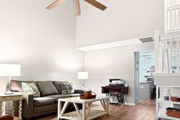 300 Yellow Hawthorn Circle photo 4