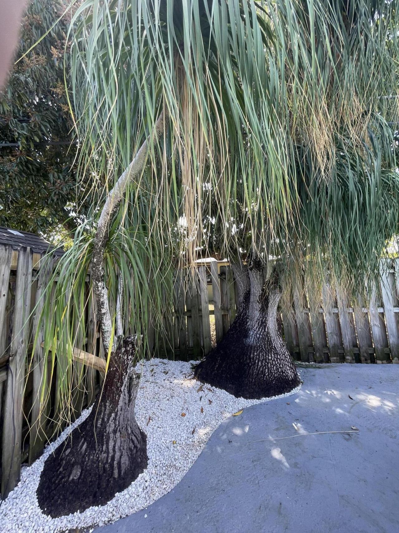 2620 NE 19th Street, Pompano Beach, FL 33062 Photo