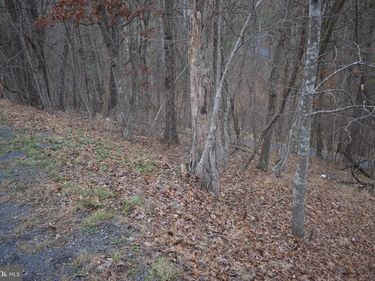 ANDERSON ROAD , BASYE, VA 22810