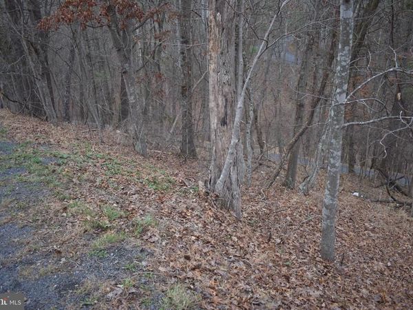 ANDERSON ROAD , BASYE, VA 22810