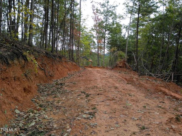 371 Pressmens Home Road, Rogersville, TN 37857