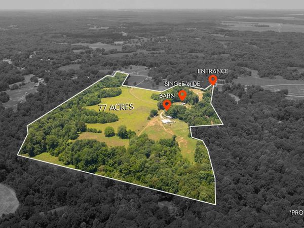 710 Porters Gap Rd, Ripley, TN 38063