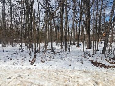 001 Driftwood Drive, Deerfield Twp, MI 48430