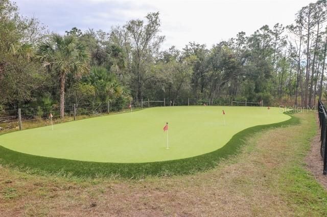 12116 SW County Rd 769 # 311 , Lake Suzy, FL 34269 Photo