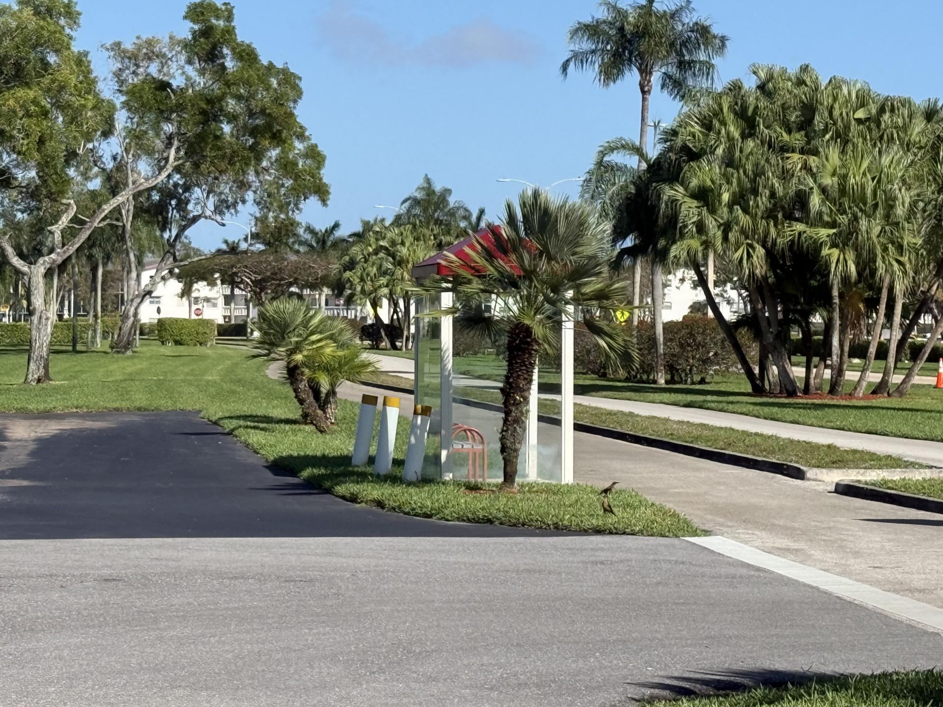 13 Dorset A, Boca Raton, FL 33434 Photo