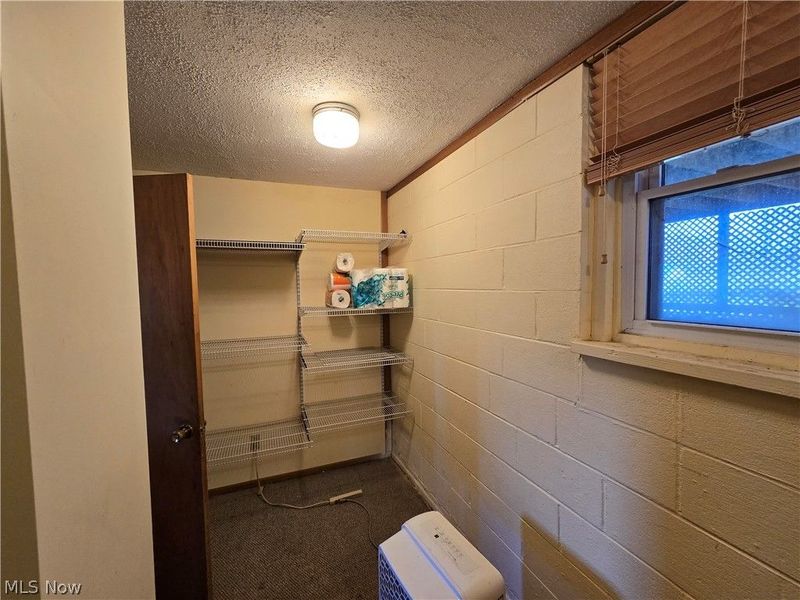 1838 State Route 534 S, Geneva, OH 44041 Photo 39