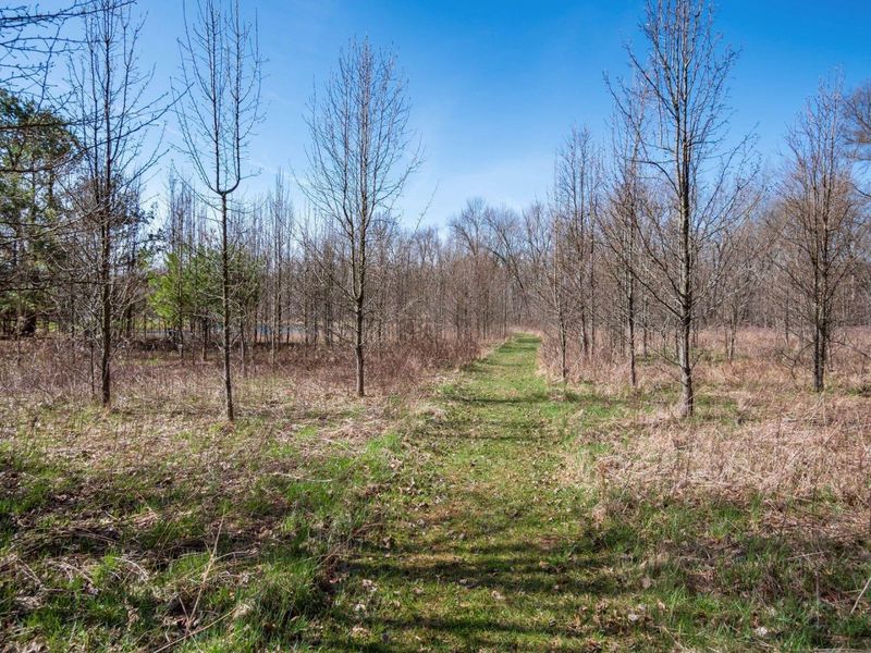 5287 Genoa Farms Boulevard, Westerville, OH 43082 Photo 34