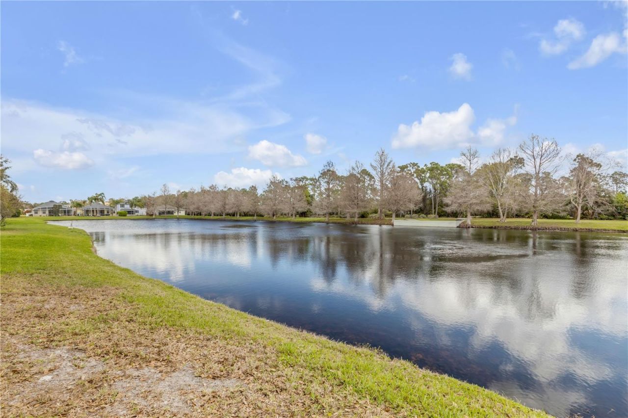 517 Aeolian Drive, New Smyrna Beach, FL 32168 Photo