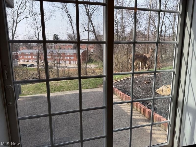 153 Hutchinson Drive, Saint Clairsville, OH 43950 Photo 45