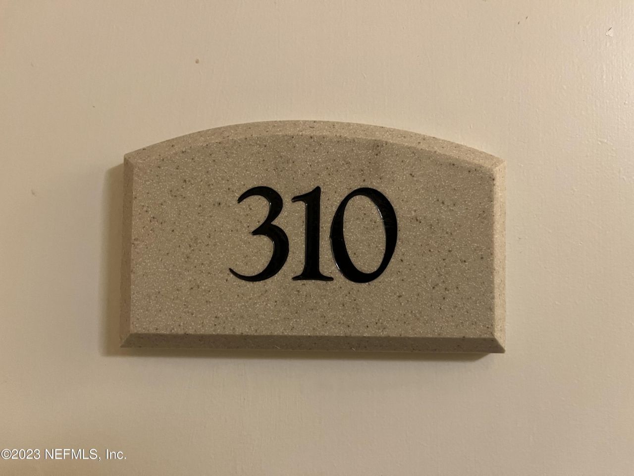 400 E Bay Street, Unit 310, Jacksonville, FL 32202 Photo