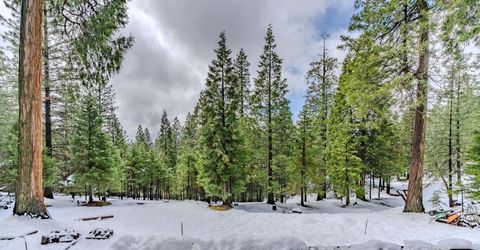 25630 Overland Dr, Volcano, CA 95689 Photo