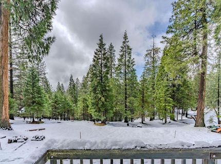 25630 Overland Dr, Volcano, CA 95689 Photo